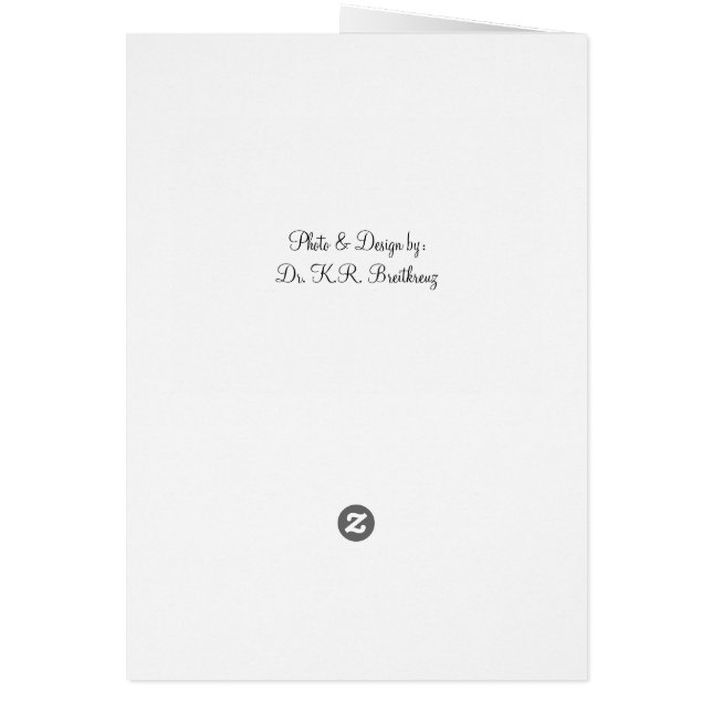 Blank Red Rose (Back)
