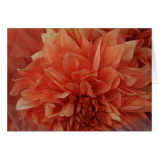 *Blank rouge de carte de fleur