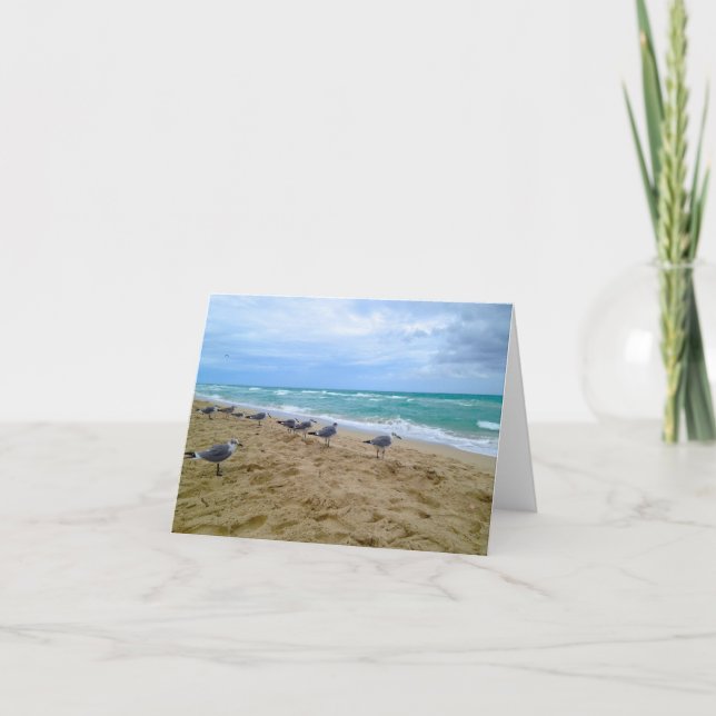 Blank Seagull Beach Card (Front)