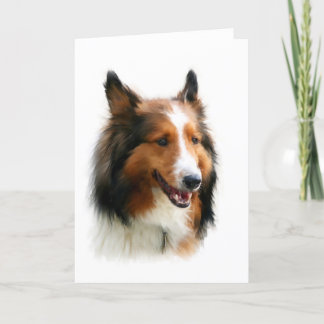 Blank Sheltie Greeting Card