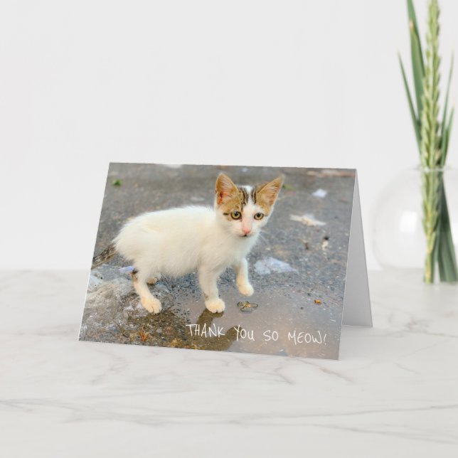 BLANK THANK YOU SO MEOW! THANK YOU CARD (Front)