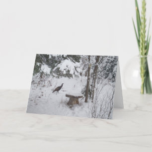 Blank Thanksgiving Turkey Holiday Card