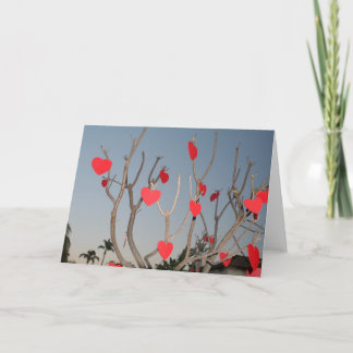 Blank Valentine's day card