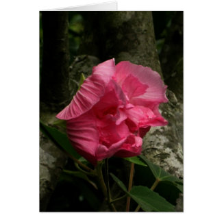 Blank-Wind Pink Flower