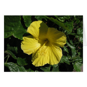 Blank_Yellow Shadow