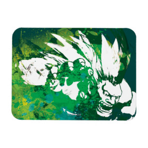 Blanka 2 magnet