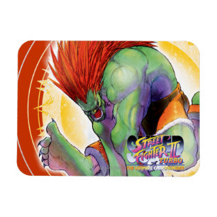 Blanka Magnet