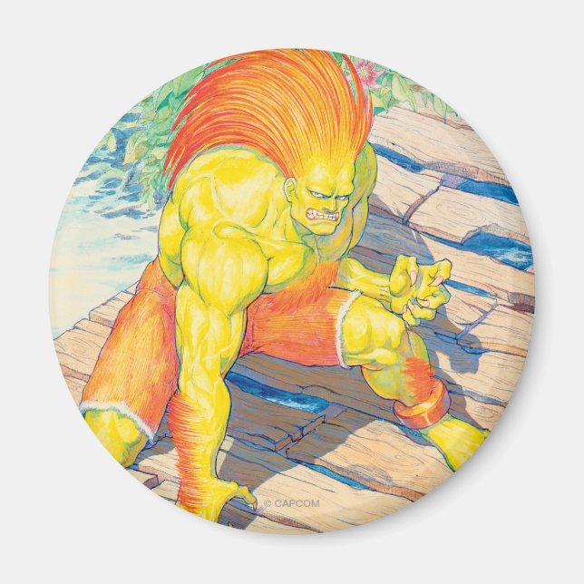 Blanka on Bridge Magnet (Front)