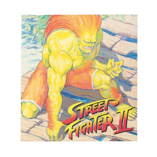Blanka on Bridge Notepad (Front)