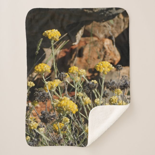 BLANKET ART&DESIGN STYLE  (Front)