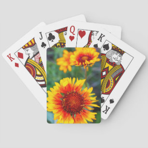 Blanket flower aka brown eyed susan in Glacier Playing Cards