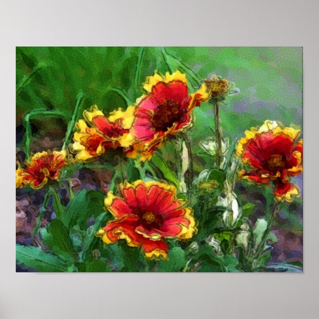 Blanket Flower Daisies Watercolor Poster (Front)