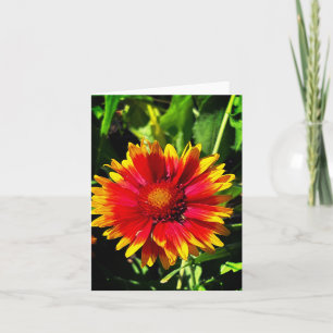Blanket Flower Note Card