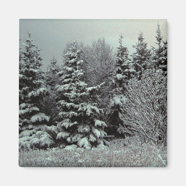 Blanket Of Snow Magnet (Front)