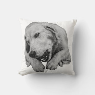 Blankets, Chews And Evening Lights Throw Pillow