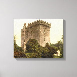 Blarney Castle Cork, Ireland c1900, vintage print