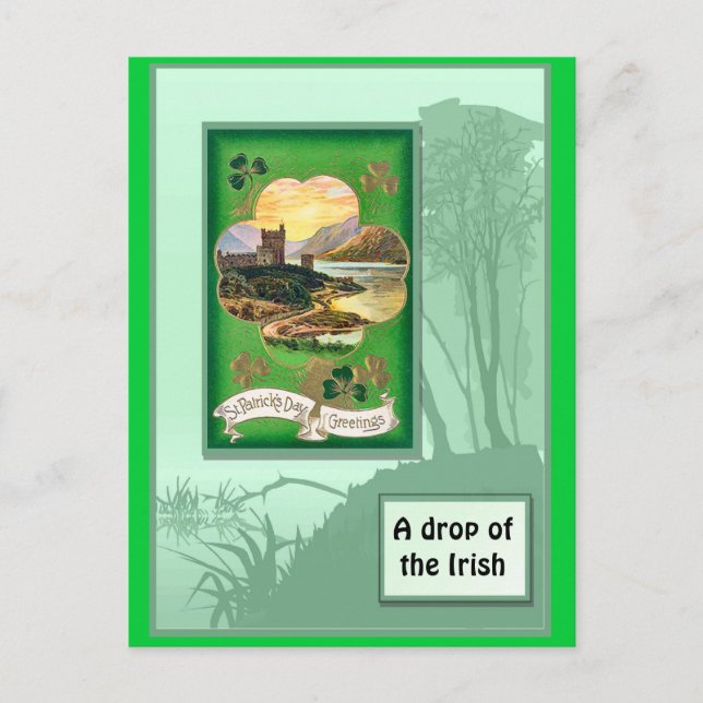 Blarney Castle Postcard (Front)