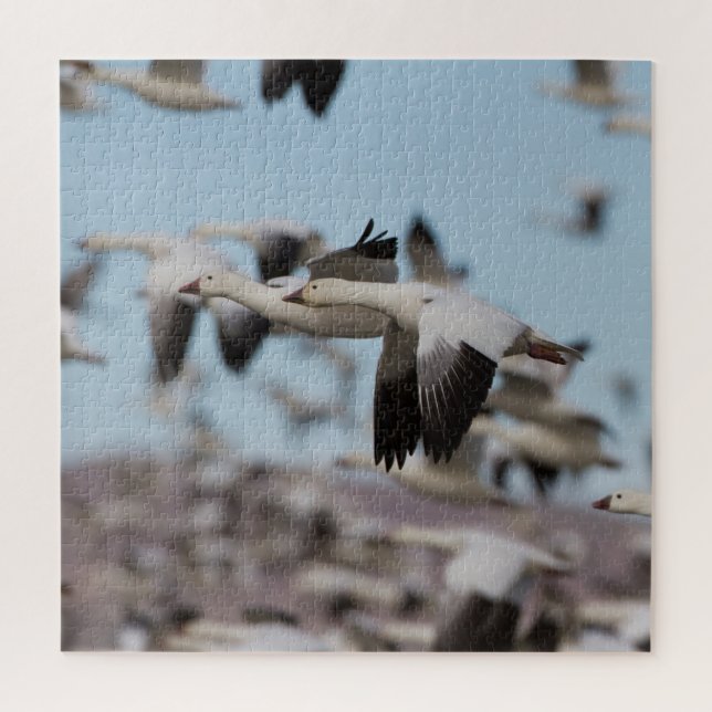 Blast off in the Socorro skies Jigsaw Puzzle (Vertical)