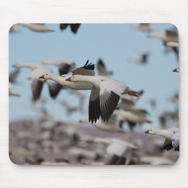 Blast Off In The Socorro Skies Mouse Pad (Front)