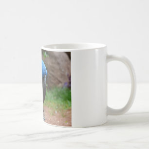 blauaras parrot coffee mug