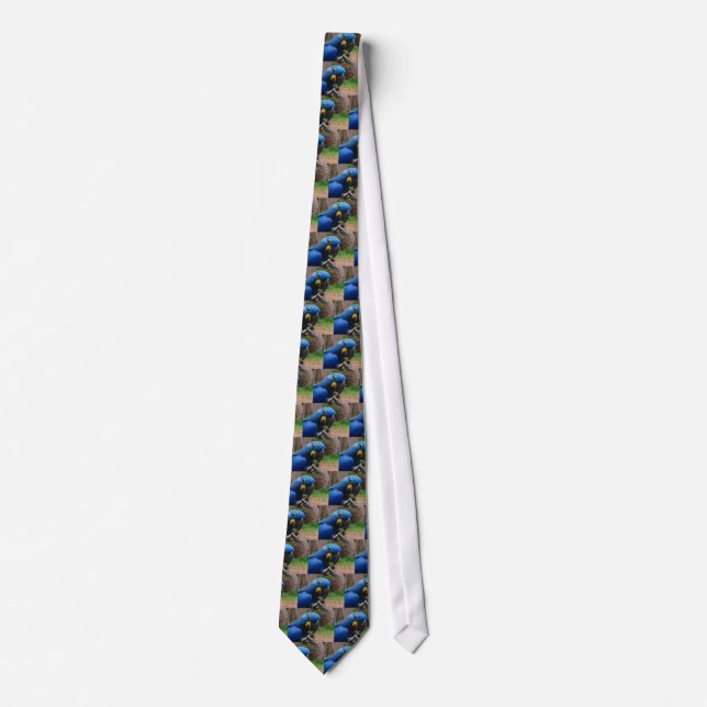 blauaras parrot tie (Front)
