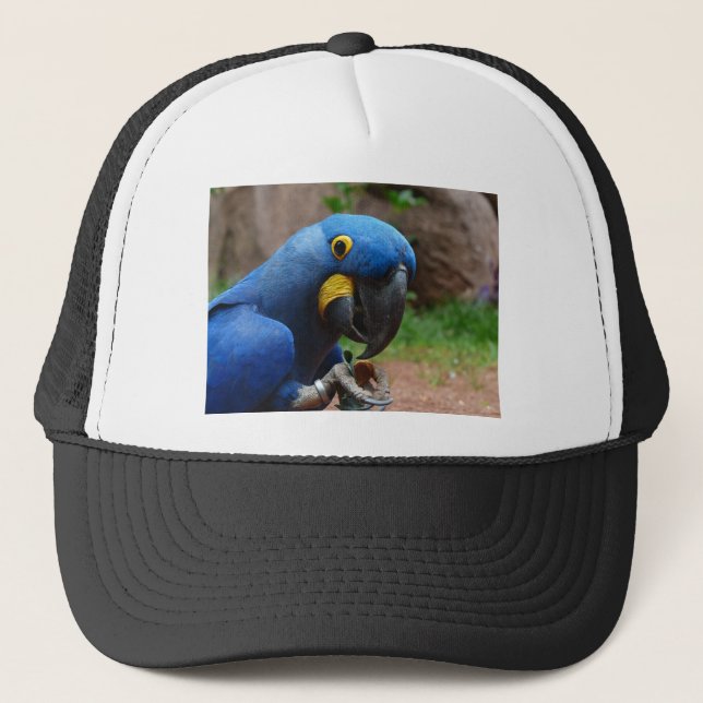 blauaras parrot trucker hat (Front)