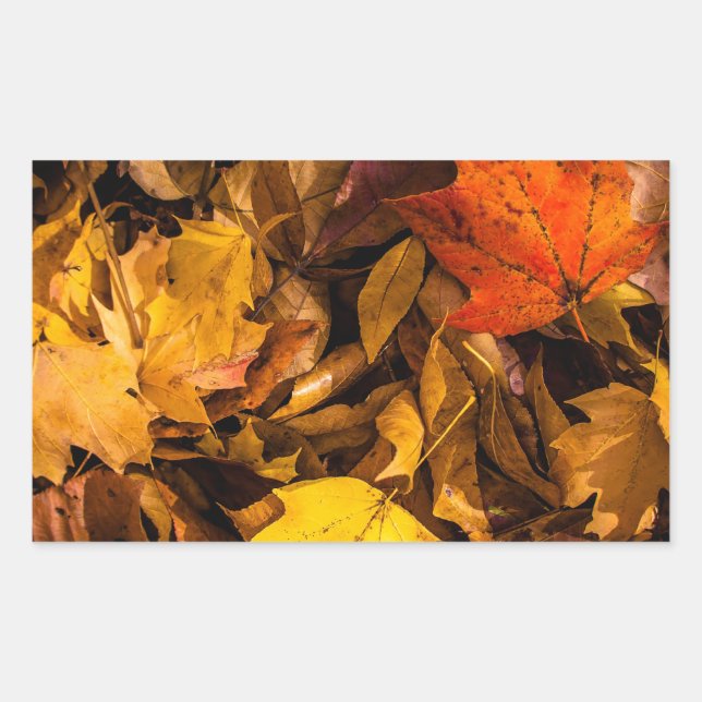 Blazing Autumn Leaves Sticker (Front)