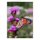 Blazing star and monarch butterfly