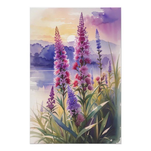 Blazing Star Beauty Poster (Front)