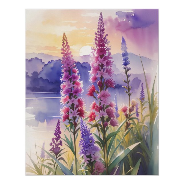 Blazing Star Beauty Poster (Front)