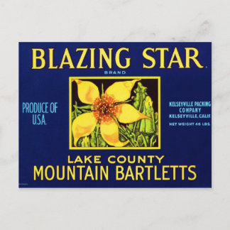 Blazing Star Pears Postcard