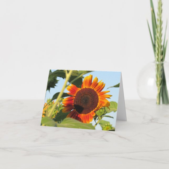 Blazing Sunflower Note Card (Front)