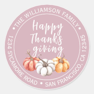 Bleached Mauve Pumpkin Thanksgiving Return Address Classic Round Sticker