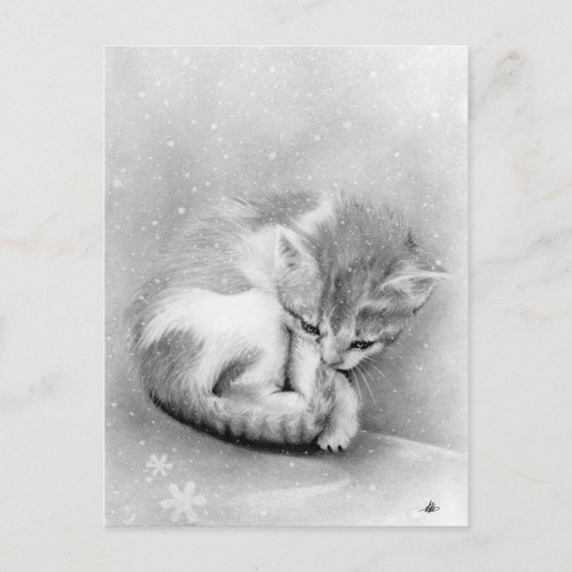 Bleak wintry Kitty Postcard (Front)