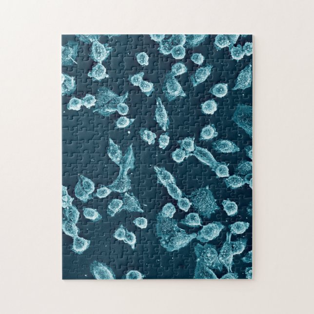 Blebby mitotic cell puzzle (Vertical)