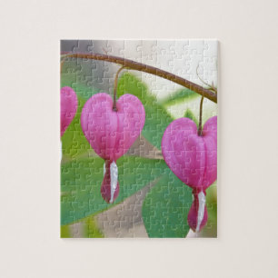 Bleeding Heart Blossoms Jigsaw Puzzle