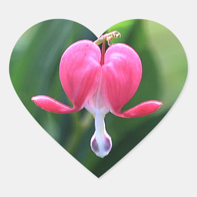 Bleeding Heart Flower Envelope Seal Stickers (Front)