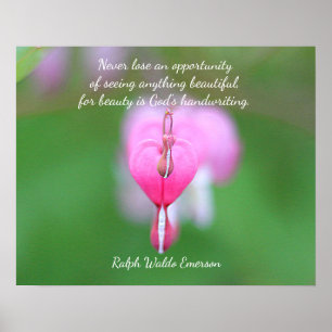 Bleeding Heart Poster