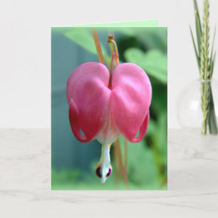 Bleeding Heart Thank You Card