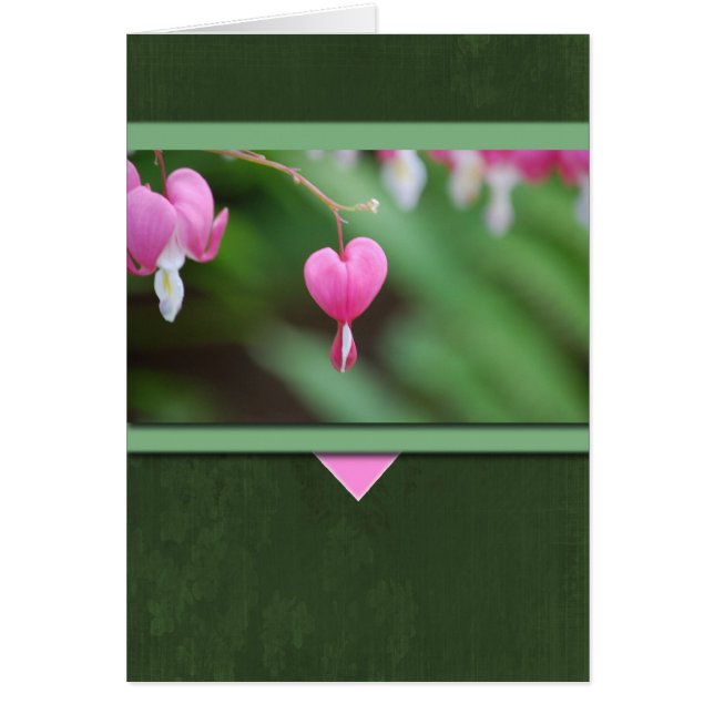 Bleeding Hearts (Front)