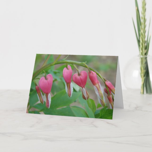 Bleeding Hearts All Occasions  Card (Front)