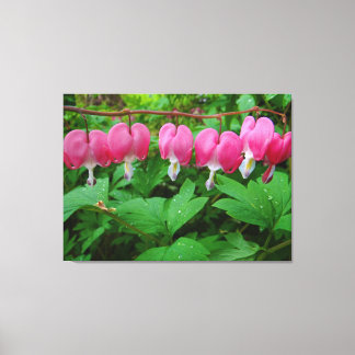 Bleeding Hearts Canvas Print