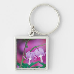 Bleeding Hearts Connecting In Garden. Credit Keychain