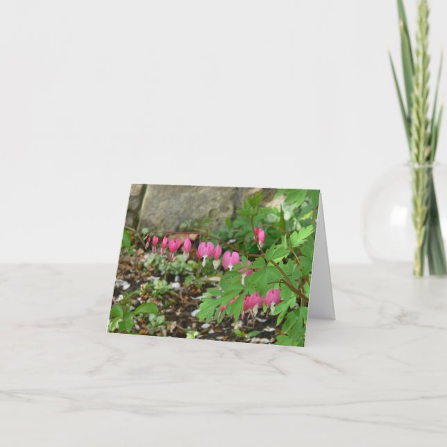 BLEEDING HEARTS DANGLING FROM STEM CARD (Front)