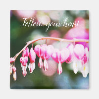 Bleeding Hearts Flowers