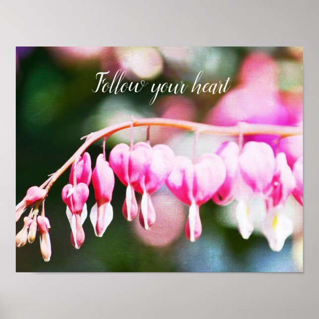 Bleeding Hearts Flowers Poster (Front)