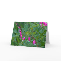 Bleeding Hearts, Greeting Card
