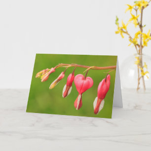 Bleeding Hearts Happy Birthday Card