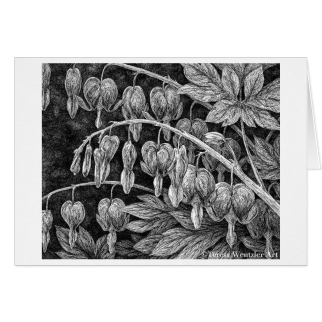 Bleeding Hearts Pen and Ink Drawing Card (Front Horizontal)