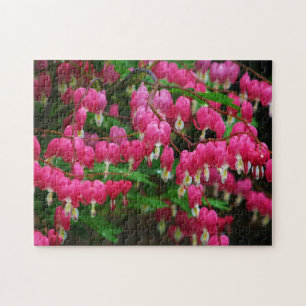 Bleeding Hearts Puzzle